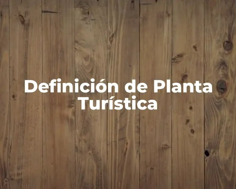 Definición de Planta Turística