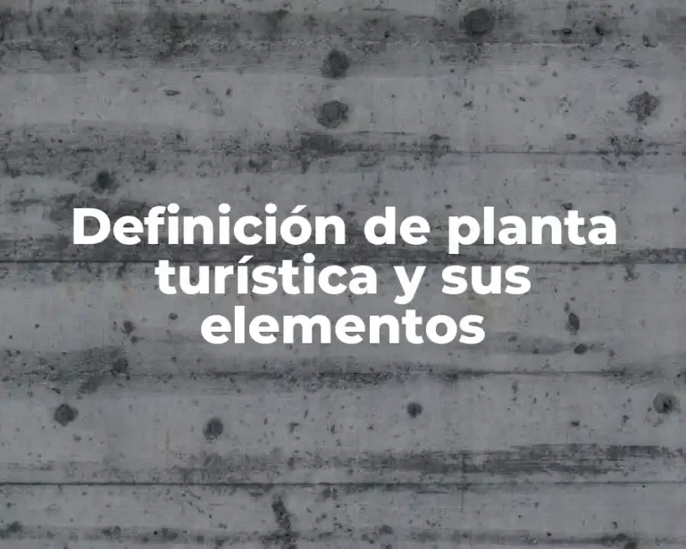 Definición de planta turística y sus elementos
