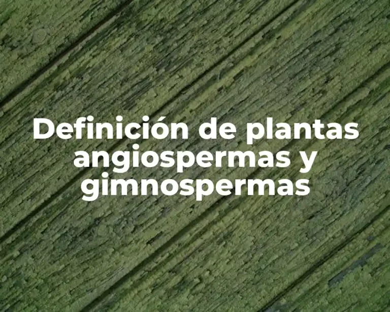 Definición de plantas angiospermas y gimnospermas