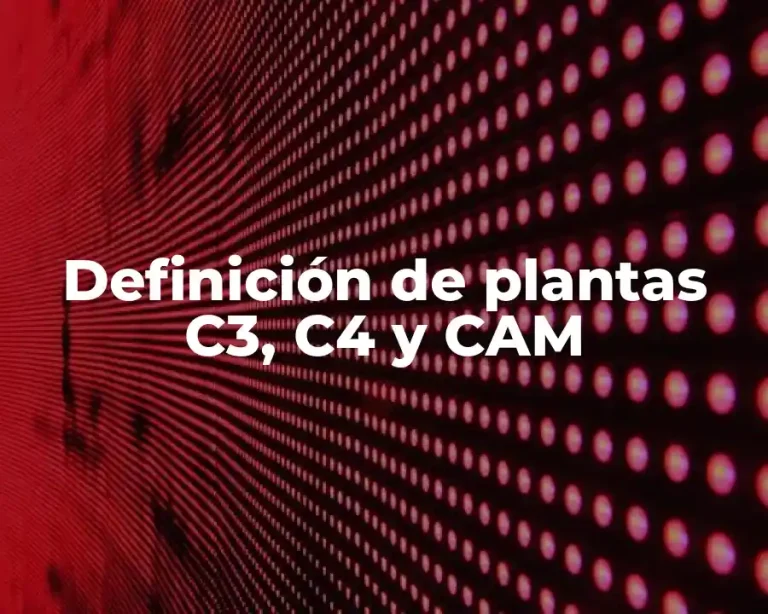 Definición de plantas C3, C4 y CAM