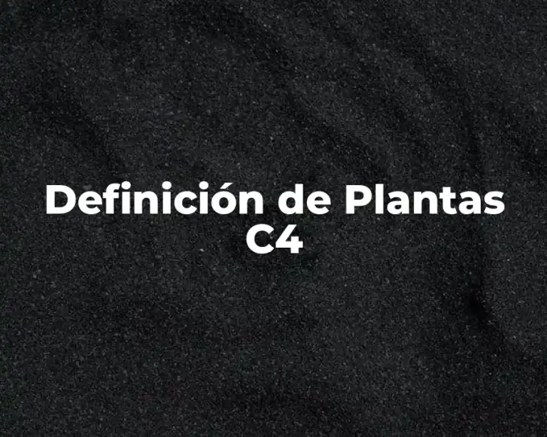 Definición de Plantas C4