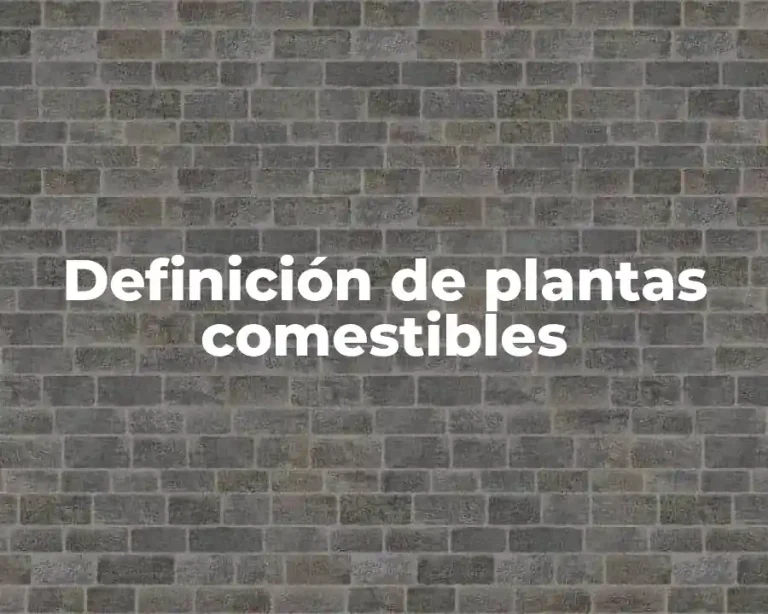 Definición de plantas comestibles