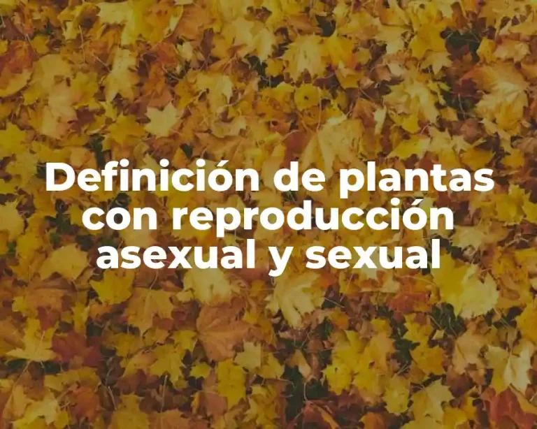 Definición de plantas con reproducción asexual y sexual
