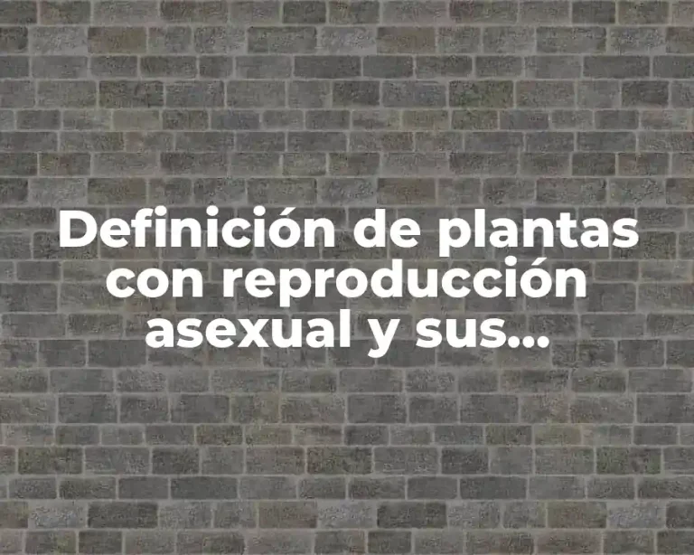 Definición de plantas con reproducción asexual y sus características