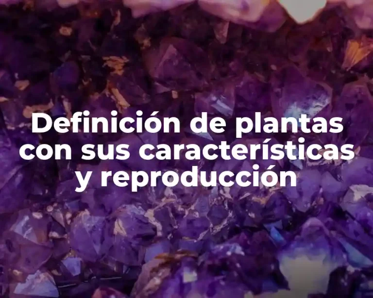 Definición de plantas con sus características y reproducción