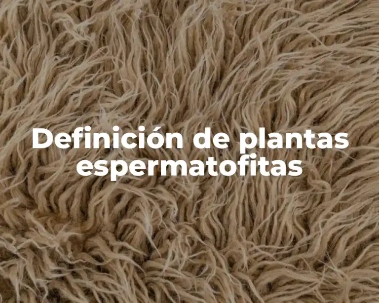 Definición de plantas espermatofitas