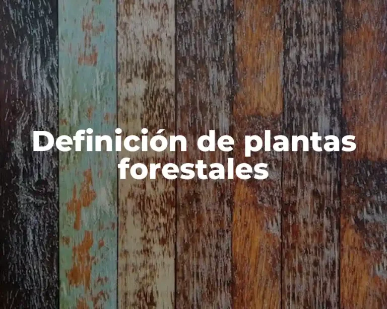 Definición de plantas forestales