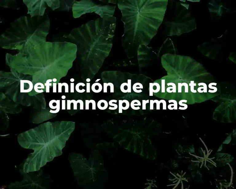 Definición de plantas gimnospermas