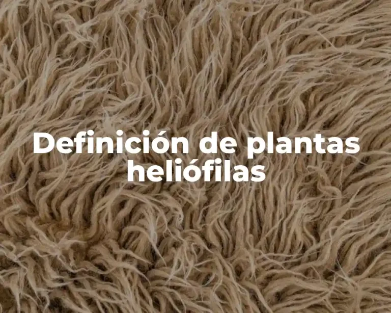Definición de plantas heliófilas