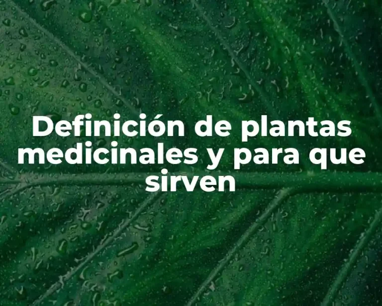 Definición de plantas medicinales y para que sirven