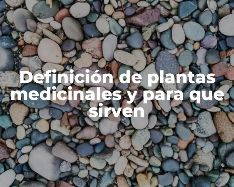 Definición de plantas medicinales y para que sirven