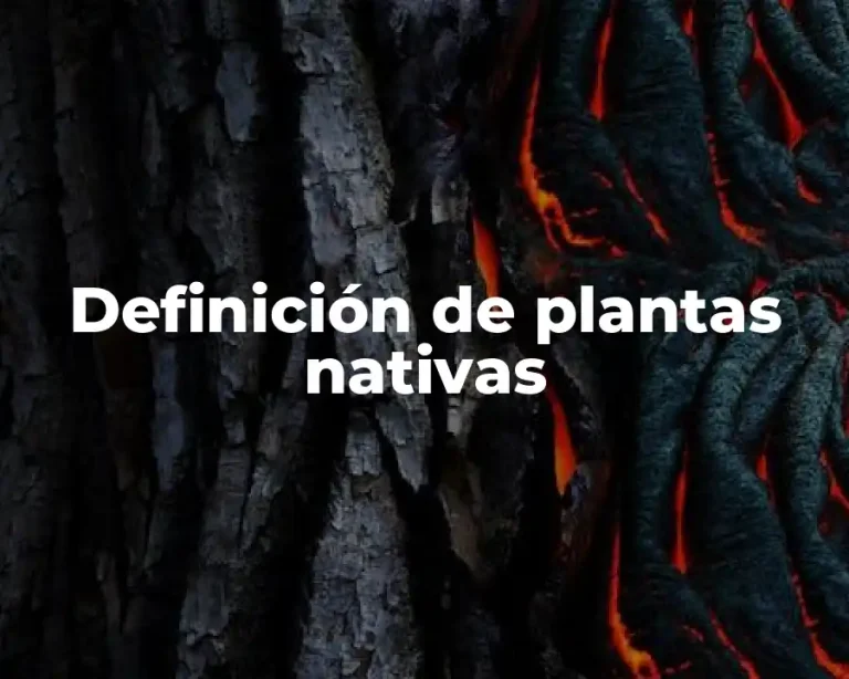 Definición de plantas nativas