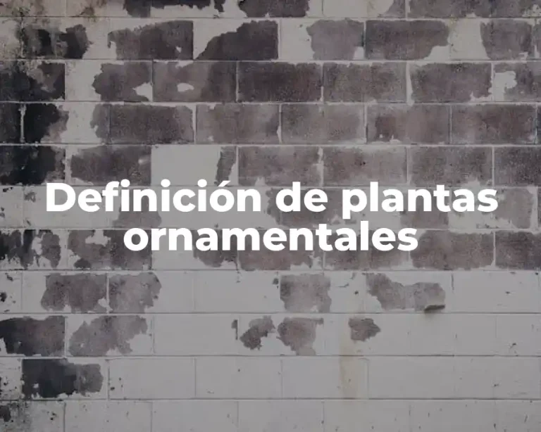 Definición de plantas ornamentales