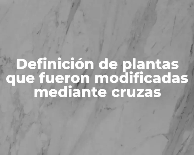 Definición de plantas que fueron modificadas mediante cruzas