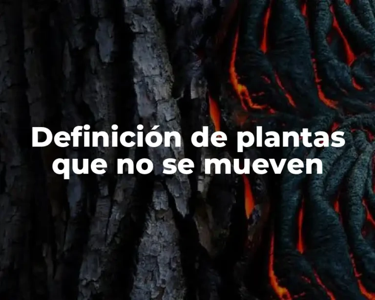 Definición de plantas que no se mueven