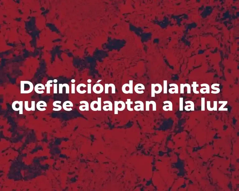 Definición de plantas que se adaptan a la luz