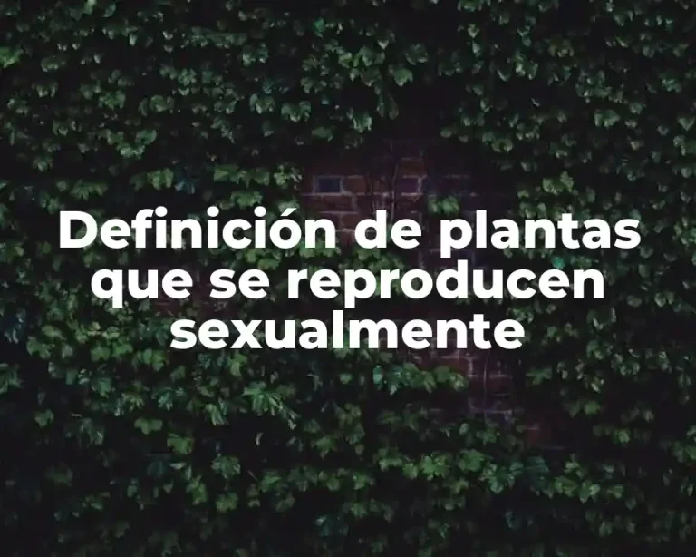 Definición de plantas que se reproducen sexualmente