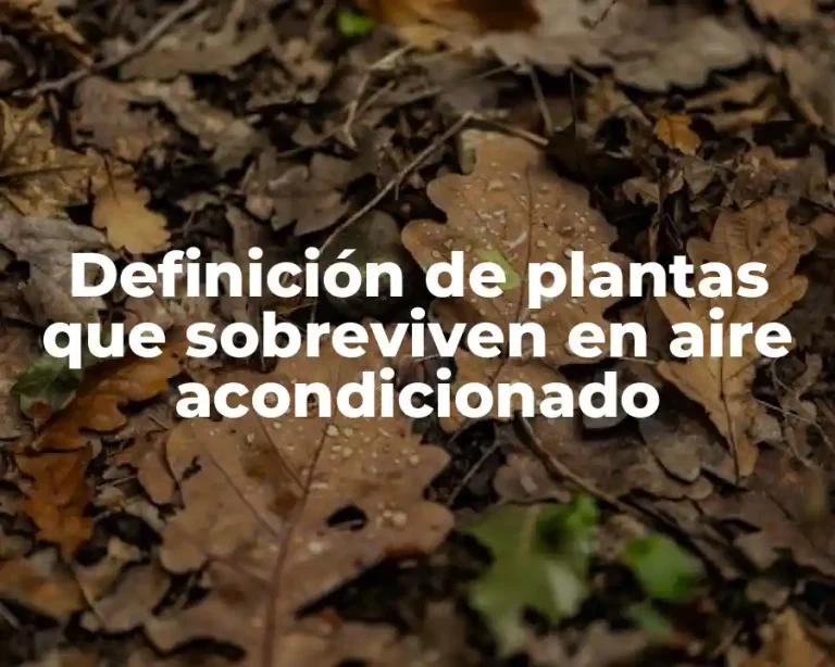 Definición de plantas que sobreviven en aire acondicionado
