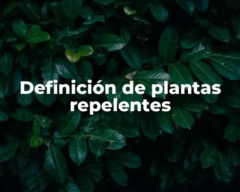 Definición de plantas repelentes