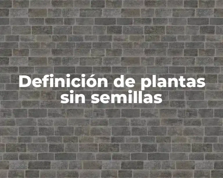 Definición de plantas sin semillas