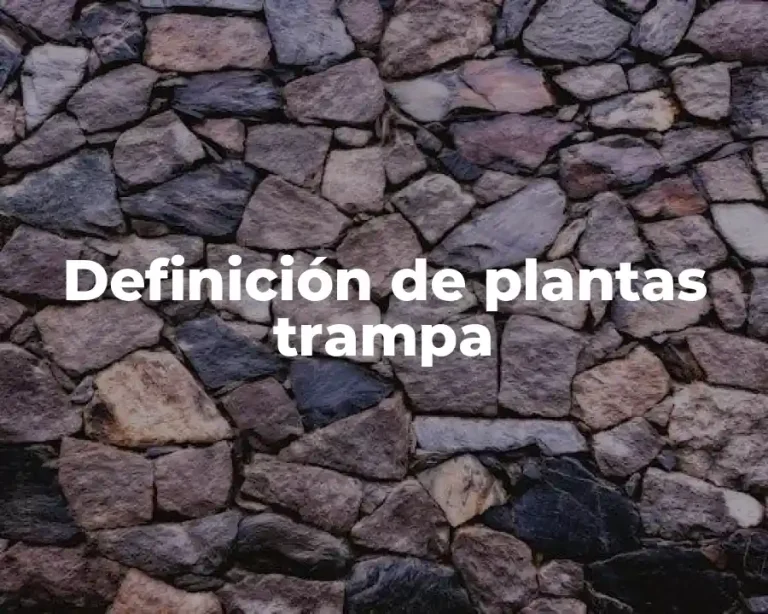 Definición de plantas trampa