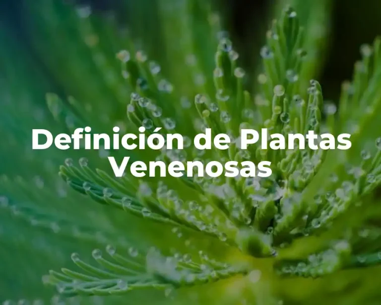 Definición de Plantas Venenosas