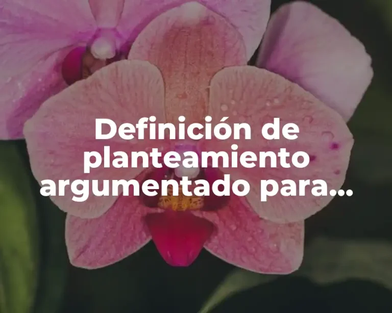 Definición de planteamiento argumentado para sexto grado de primaria
