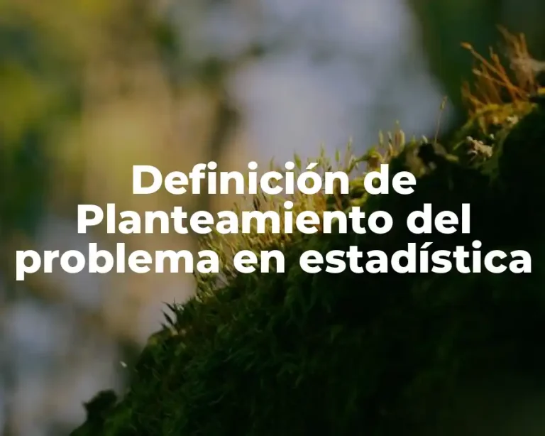 Definición de Planteamiento del problema en estadística