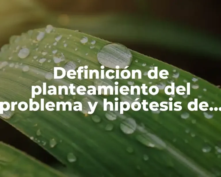 Definición de planteamiento del problema y hipótesis de una tesis