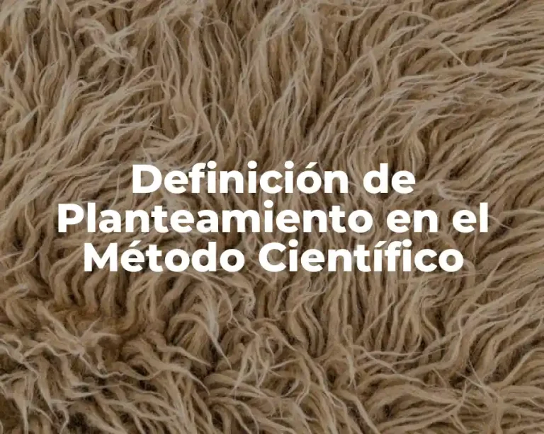 Definición de Planteamiento en el Método Científico