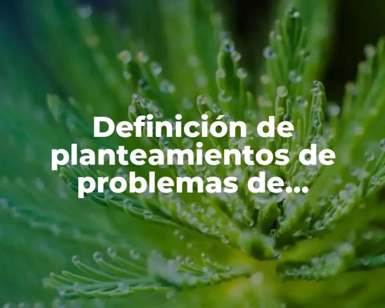 Definición de planteamientos de problemas de investigación científica