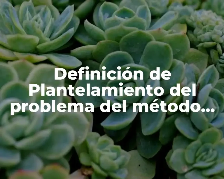Definición de Plantelamiento del problema del método científico