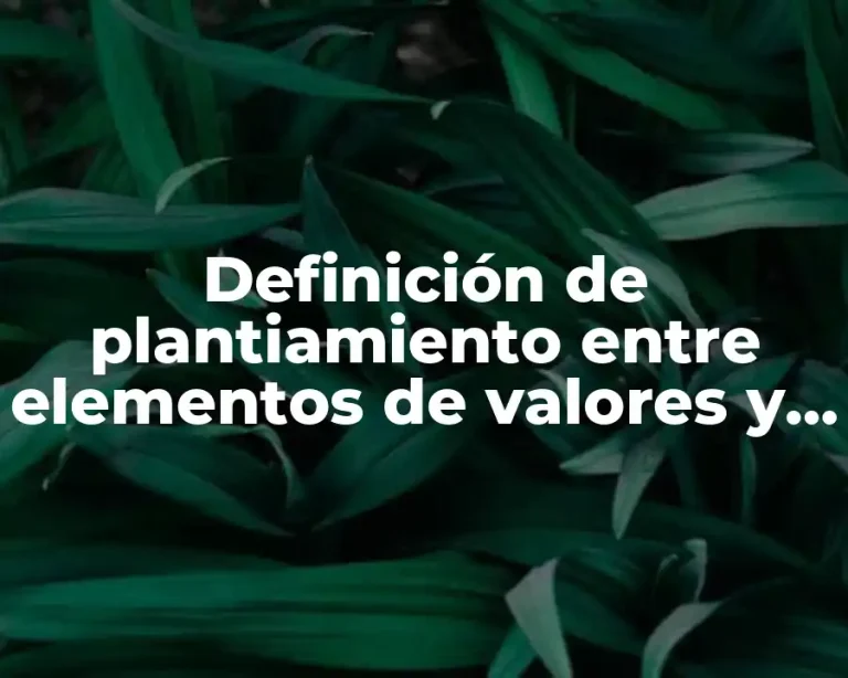 Definición de plantiamiento entre elementos de valores y comportamiento social