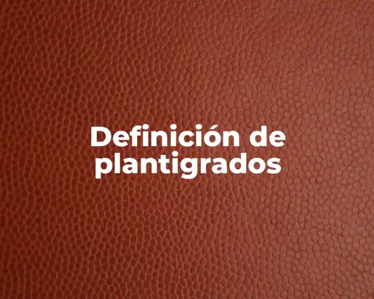 Definición de plantigrados
