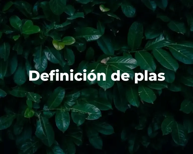 Definición de plas