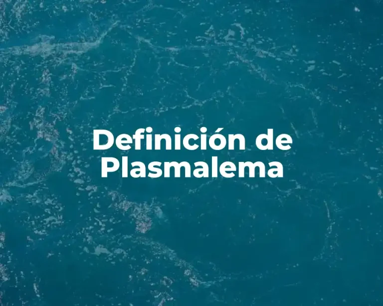 Definición de Plasmalema