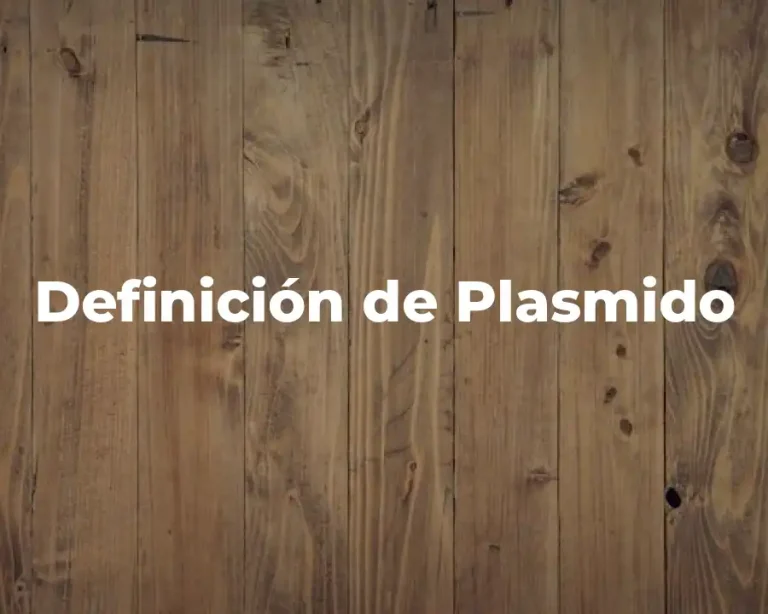 Definición de Plasmido