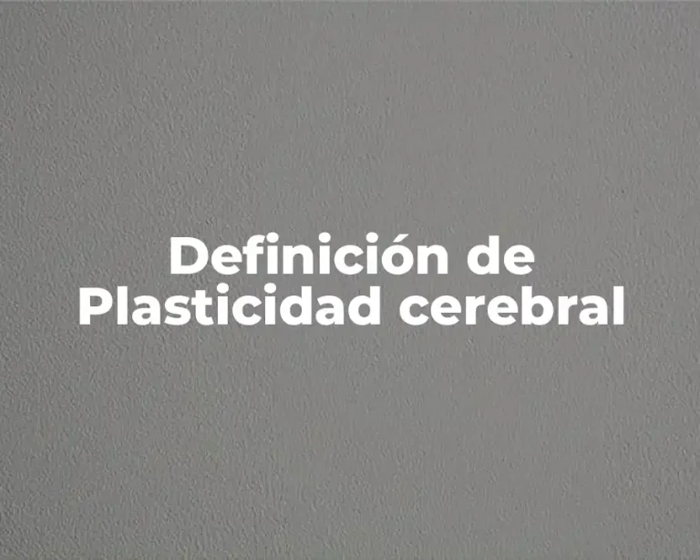 Definición de Plasticidad cerebral