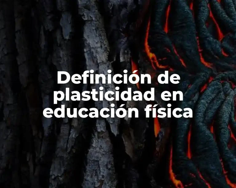 Definición de plasticidad en educación física