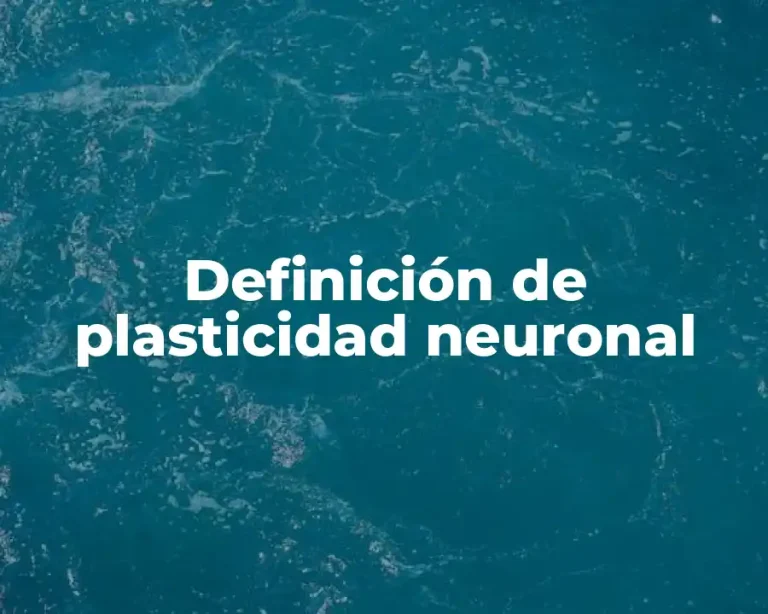 Definición de plasticidad neuronal