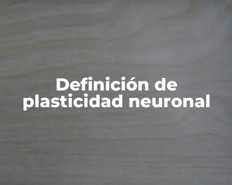 Definición de plasticidad neuronal