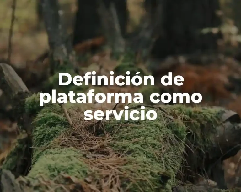 Definición de plataforma como servicio
