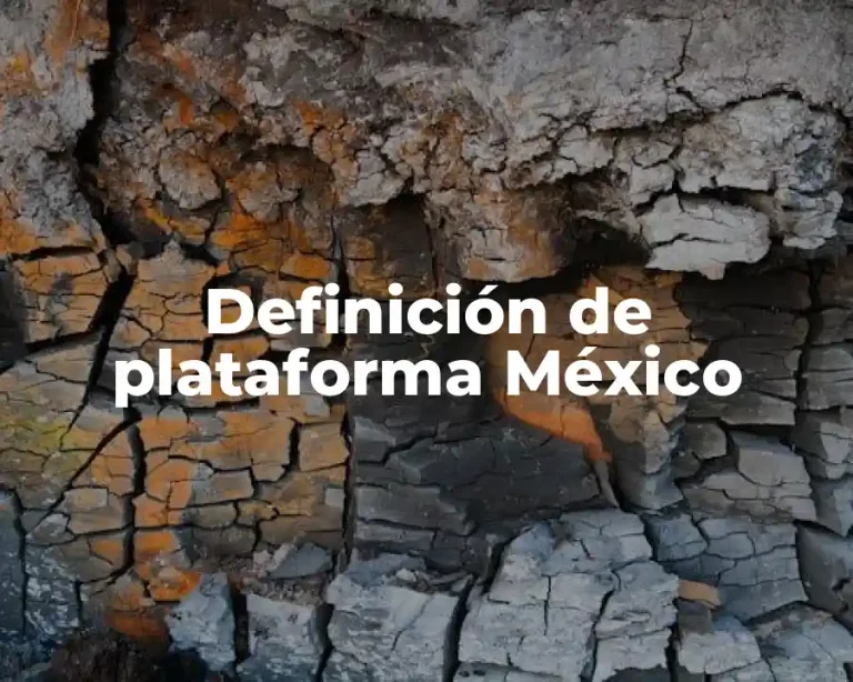 Definición de plataforma México