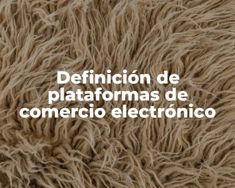 Definición de plataformas de comercio electrónico