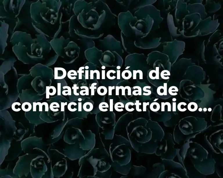 Definición de plataformas de comercio electrónico de distribución comercial