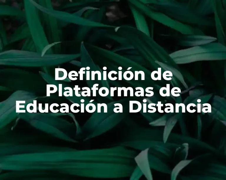 Definición de Plataformas de Educación a Distancia
