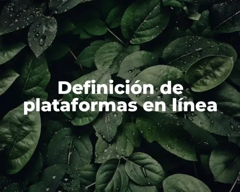 Definición de plataformas en línea
