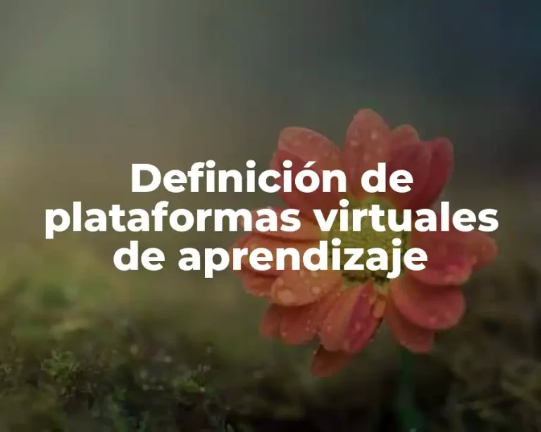 Definición de plataformas virtuales de aprendizaje