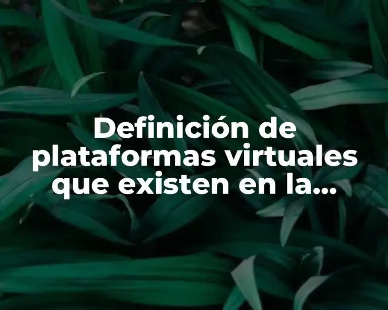 Definición de plataformas virtuales que existen en la actualidad