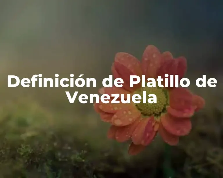 Definición de Platillo de Venezuela
